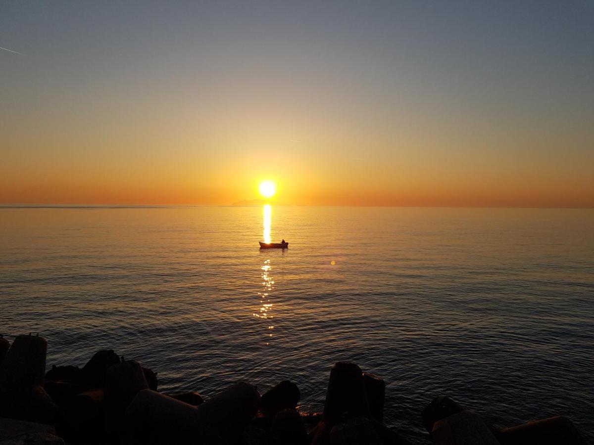 L'alba Bastia By Location-tourisme-corse Villa
